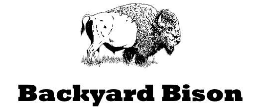 backyard bison logo